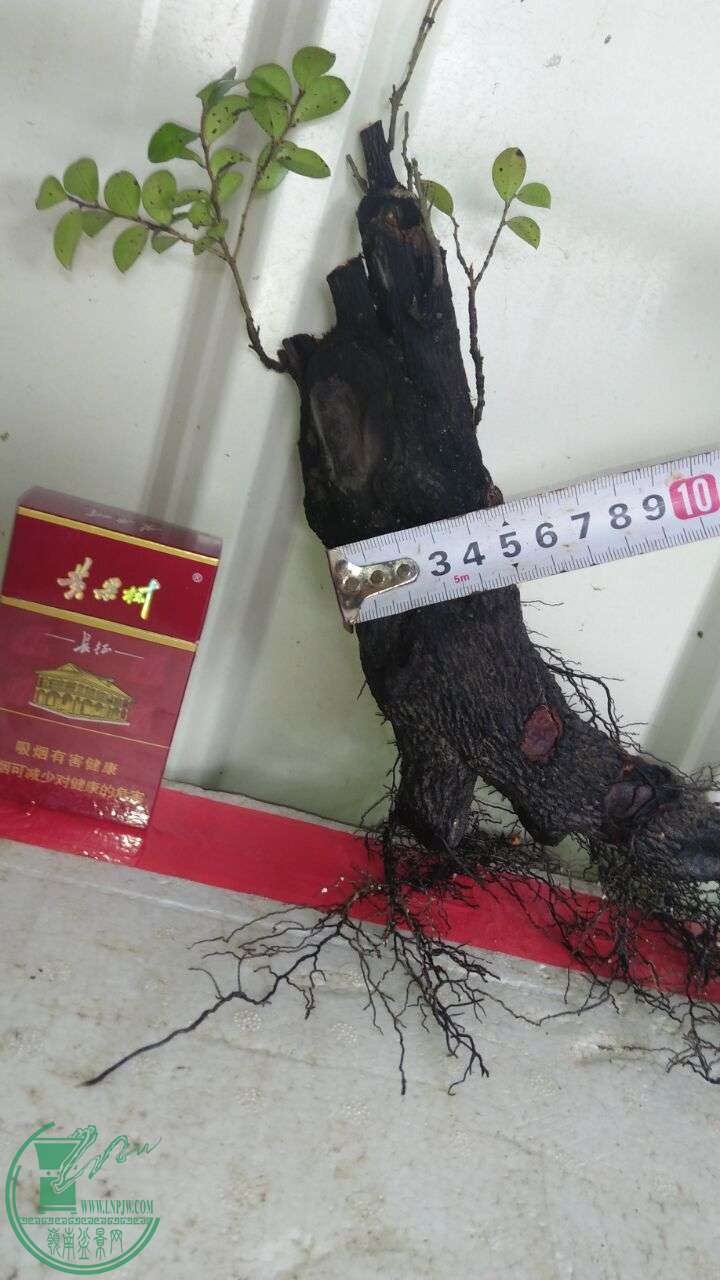 QQͼƬ20160702145803.jpg