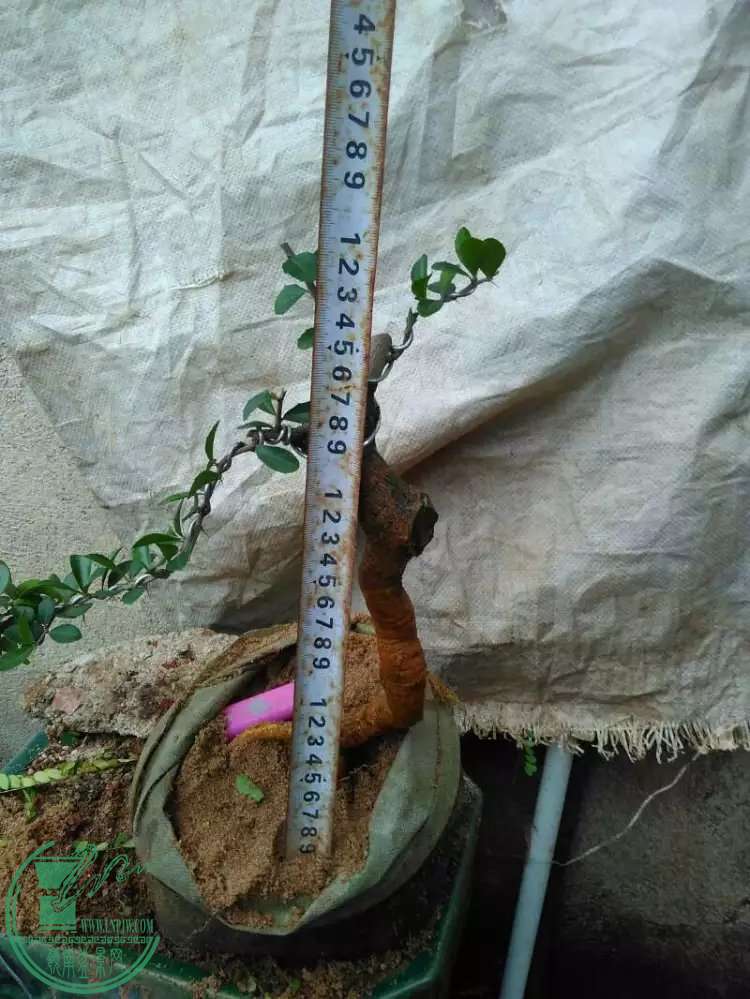 4.7.jpg