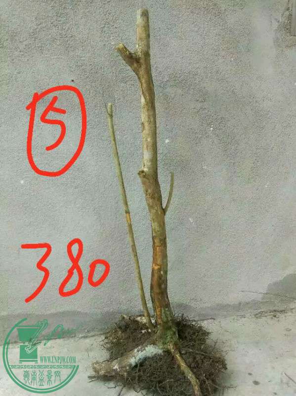 809229