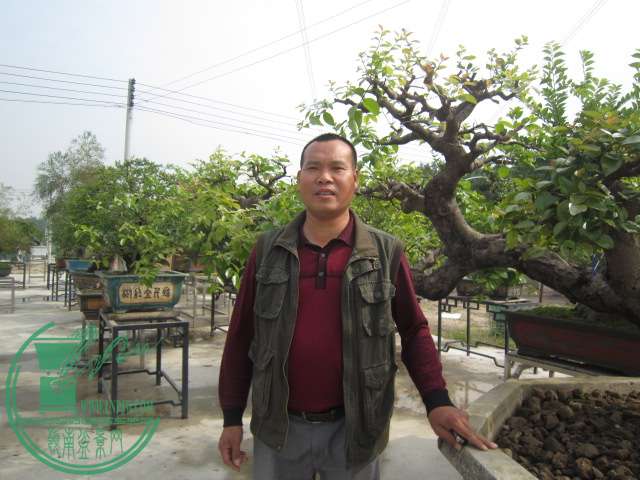 IMG_0999.JPG