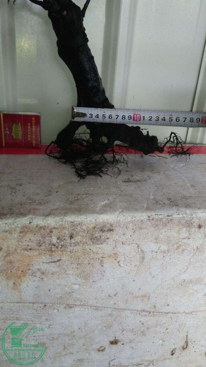 QQͼƬ20160704205019.jpg