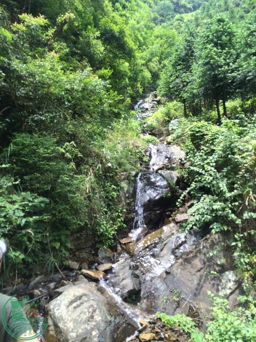 QQͼƬ20160705183351.jpg
