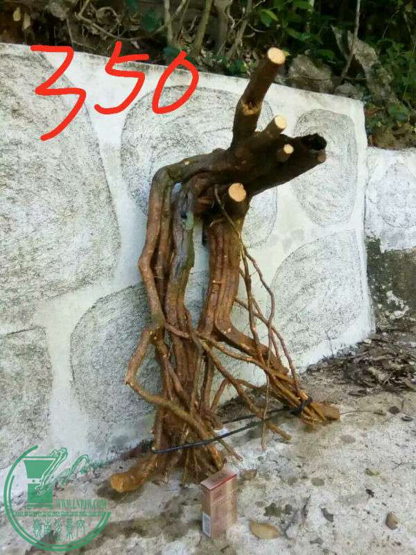 -7d51b5eb2cc0770a.jpg