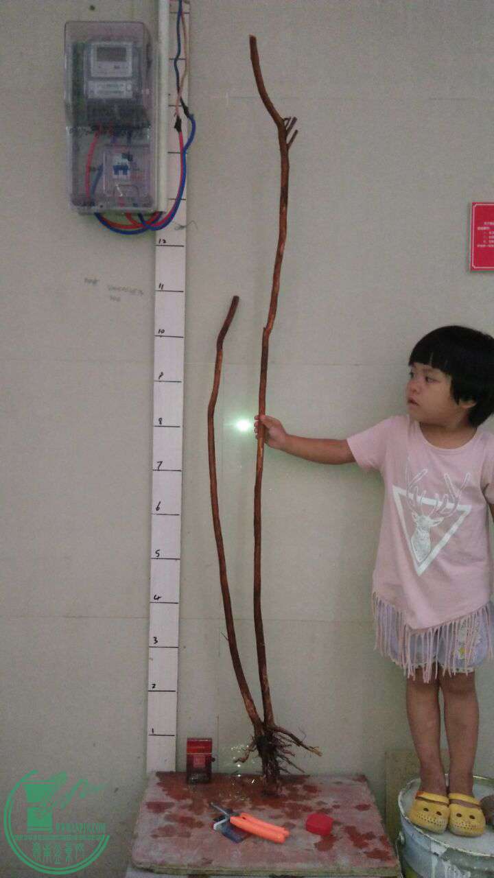QQͼƬ20160709201041.jpg