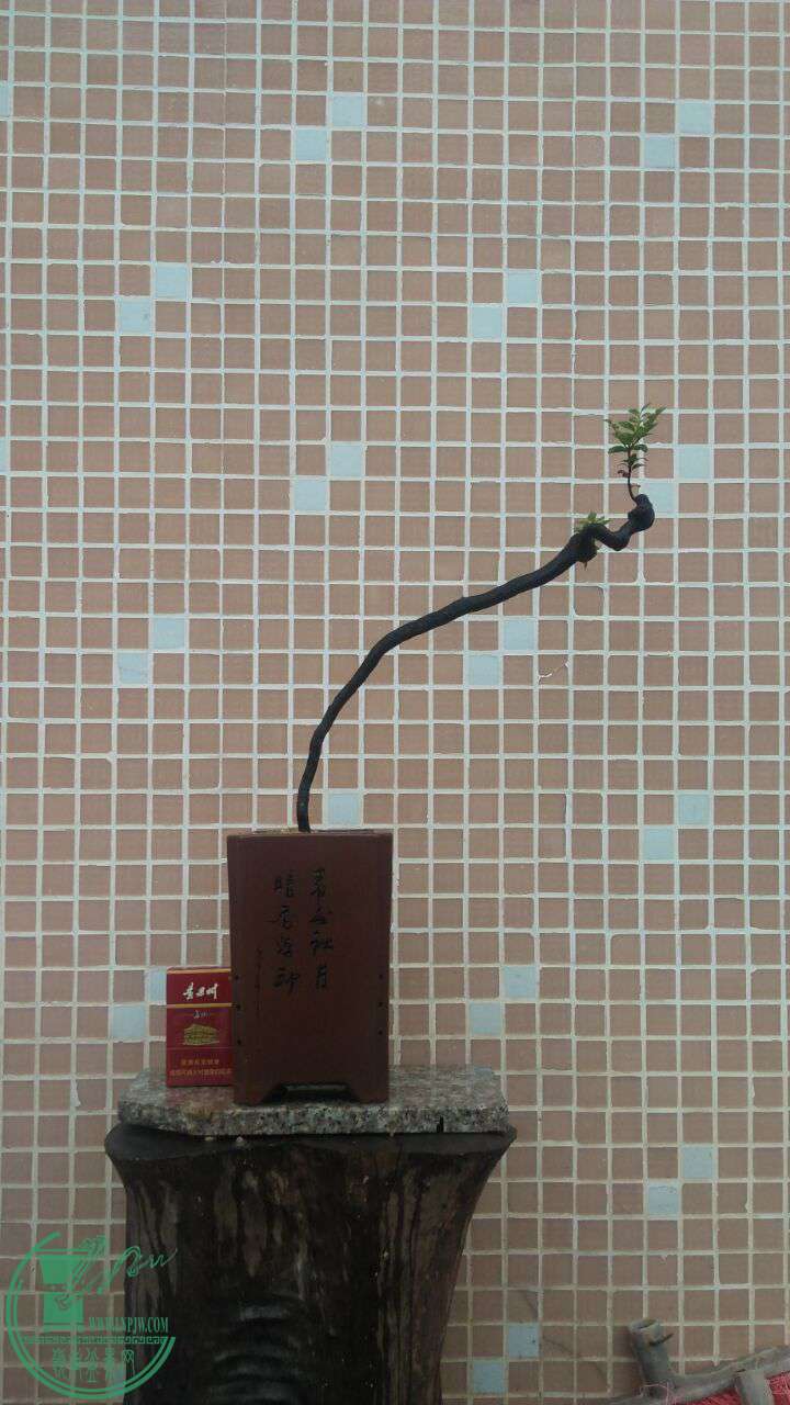 QQͼƬ20160712202710.jpg