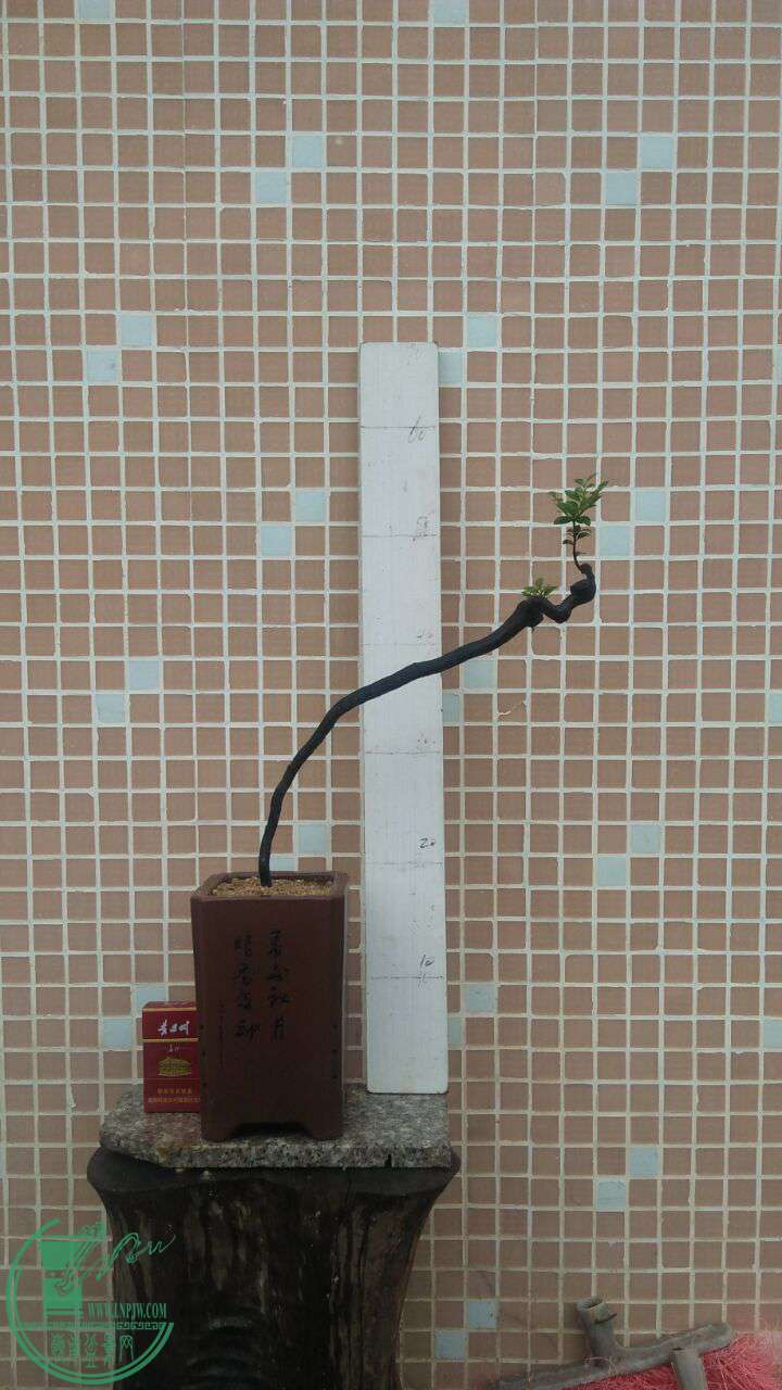 QQͼƬ20160712202715.jpg