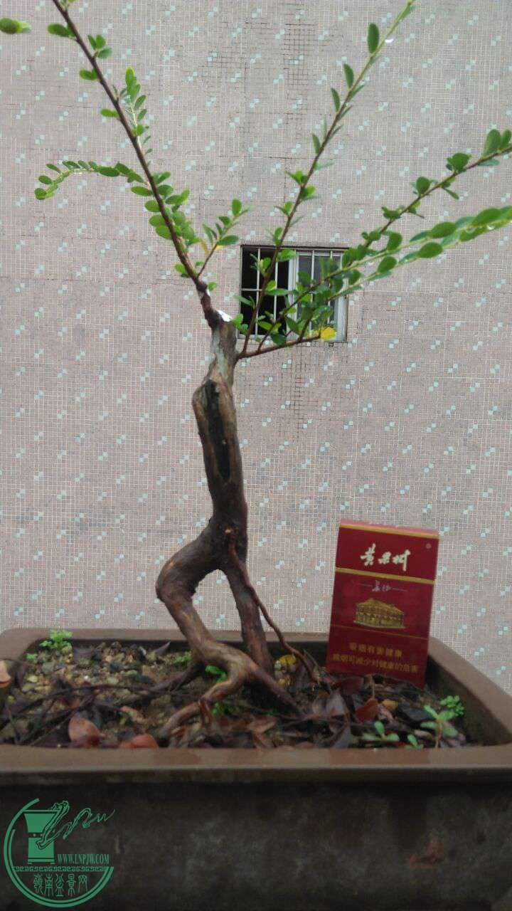 QQͼƬ20160712202644.jpg