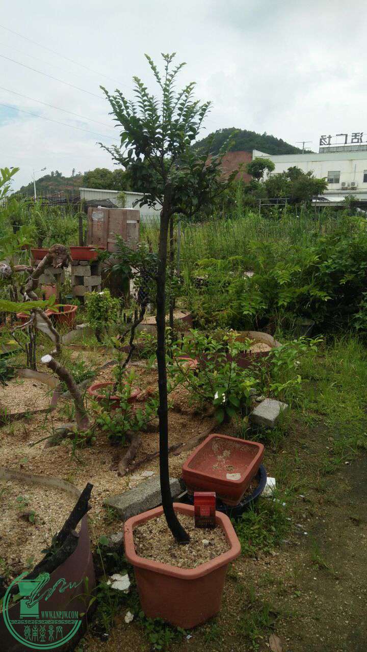 QQͼƬ20160713202610.jpg