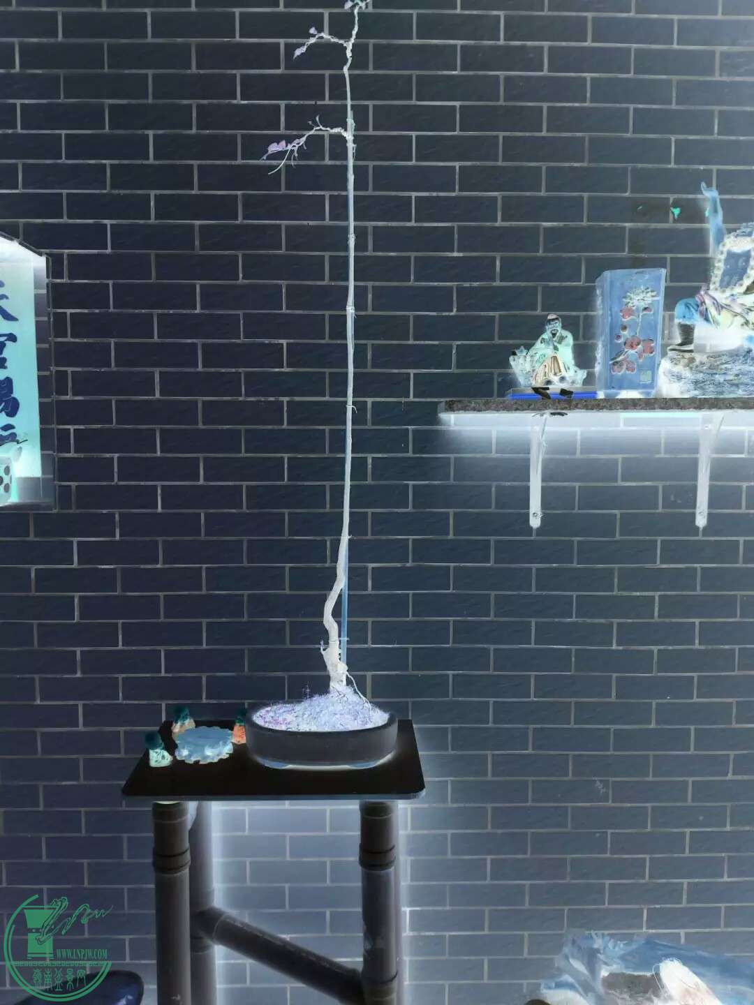 1468466479866.jpeg