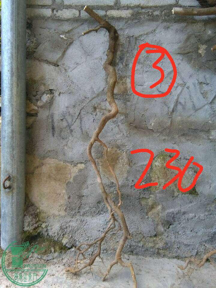 -6b627eefce57e375.jpg