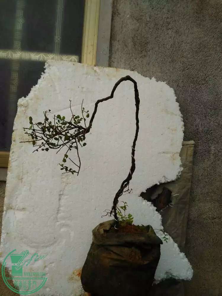 2.1.jpg