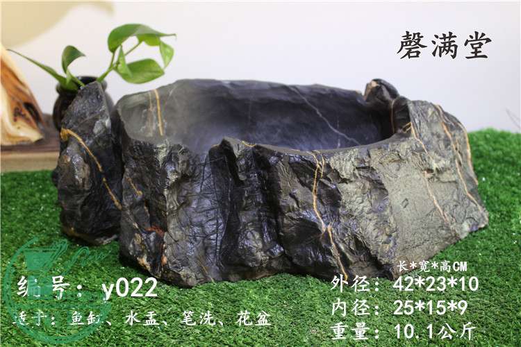 y02201.jpg