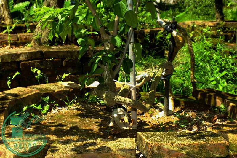 DSCF2942.JPG