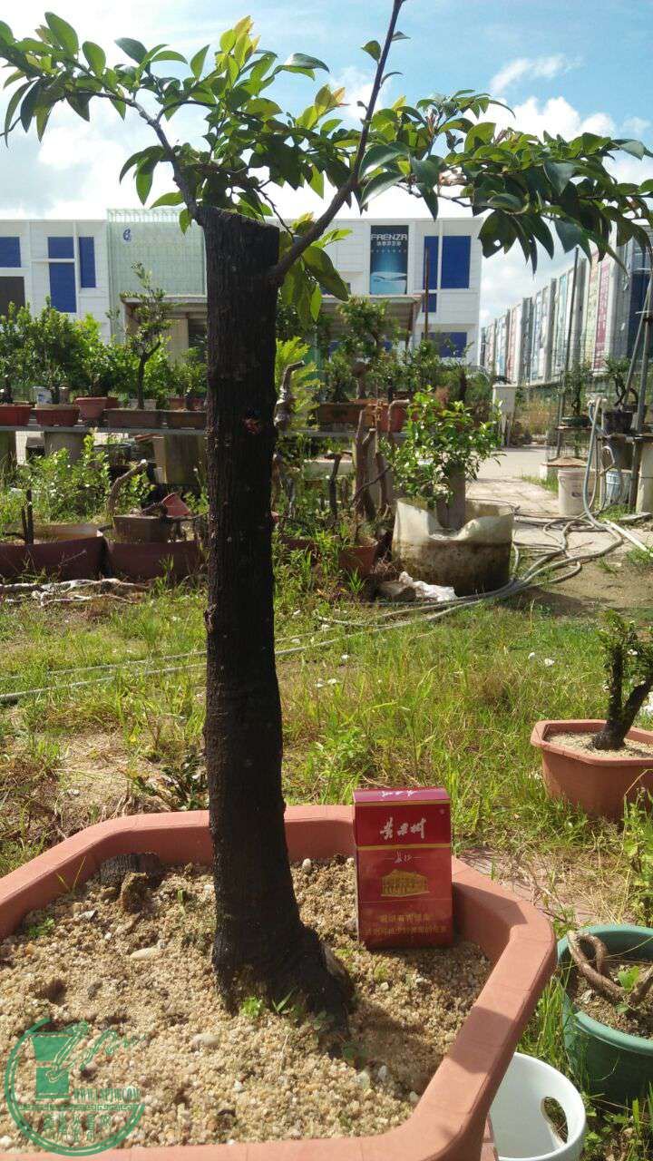 QQͼƬ20160727195006.jpg
