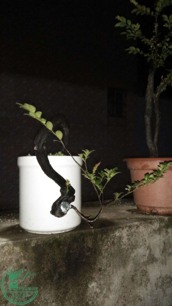 QQͼƬ20160728205755.jpg