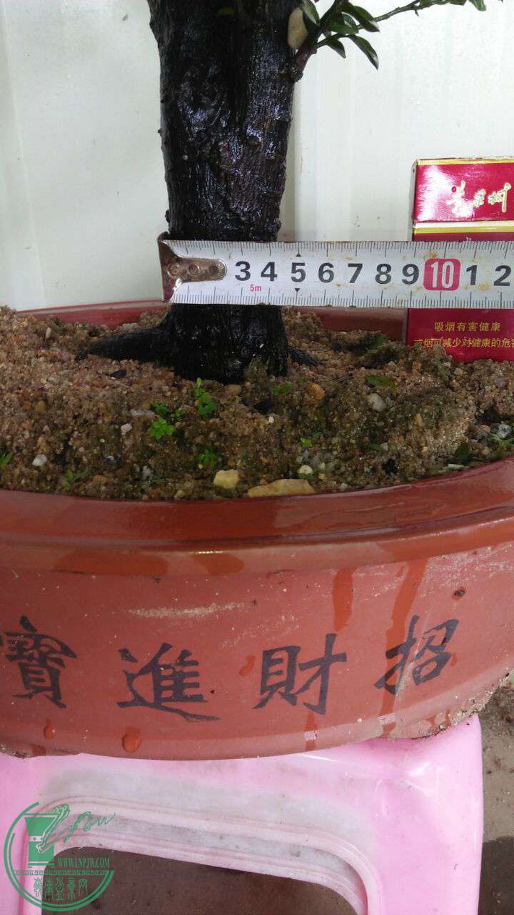 QQͼƬ20160728205749.jpg