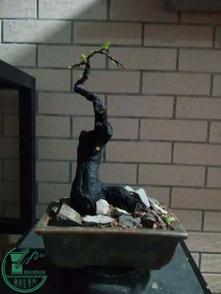100