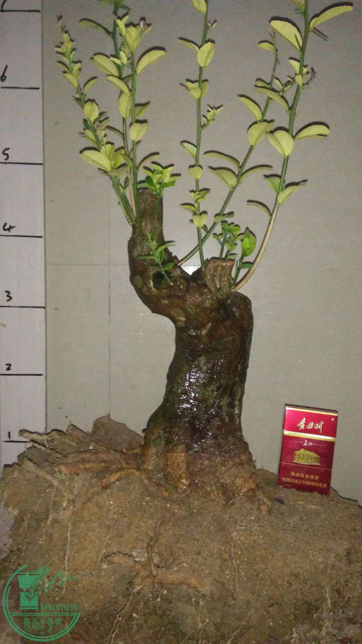 QQͼƬ20160729204947.jpg