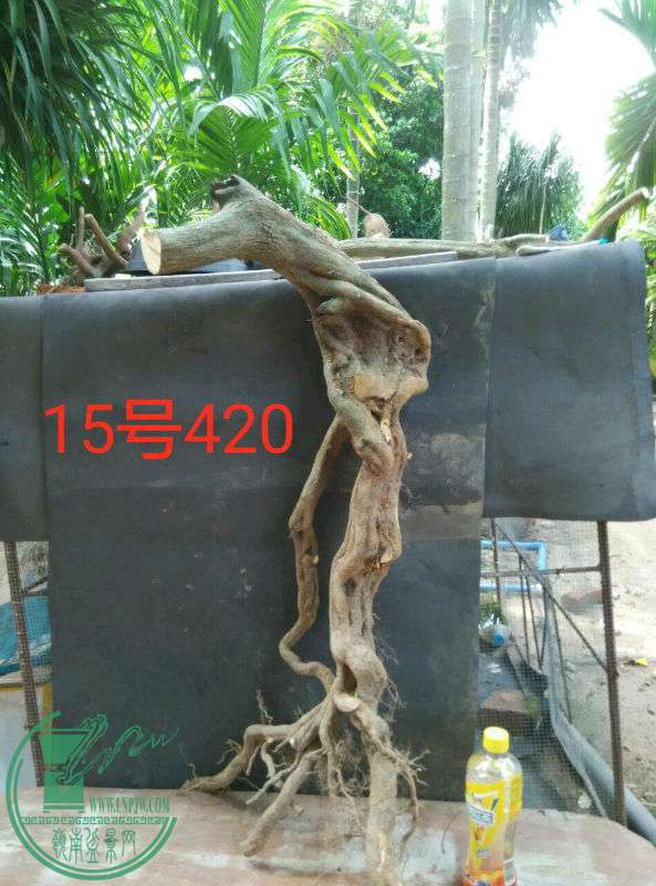 813010