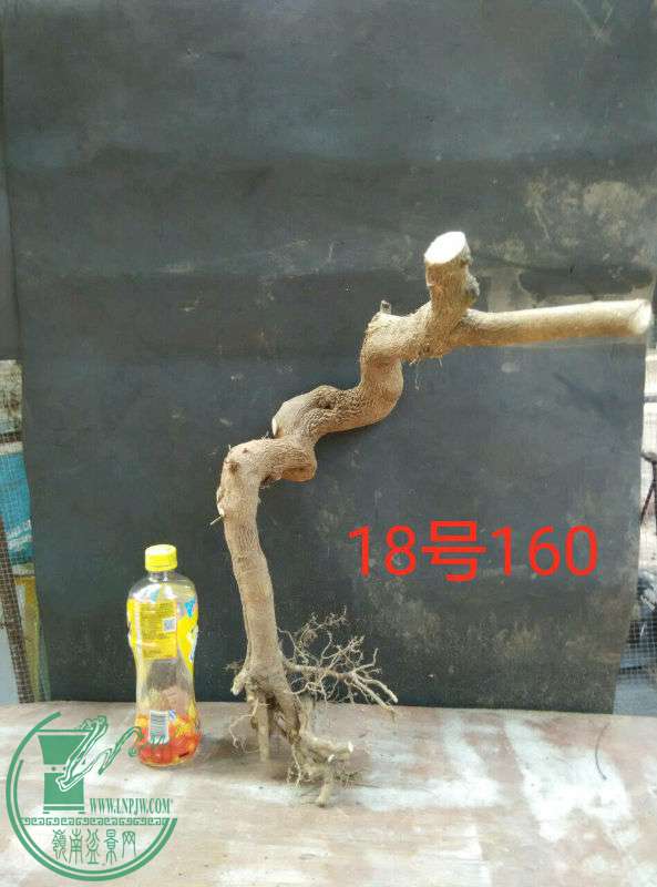 -42eea4b2e183d7b3.jpg