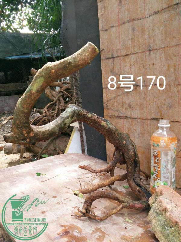 -78a808fad668626c.jpg