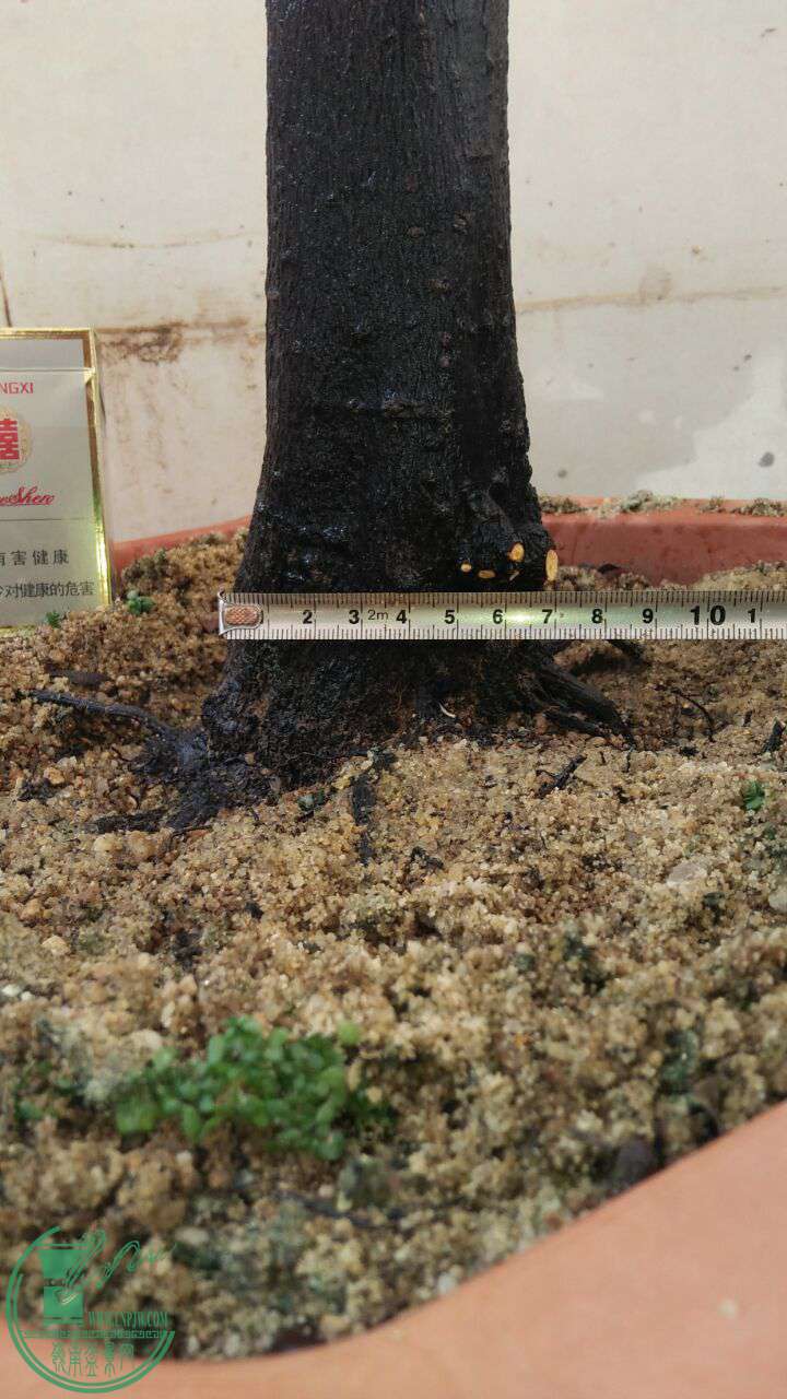 QQͼƬ20160805200910.jpg