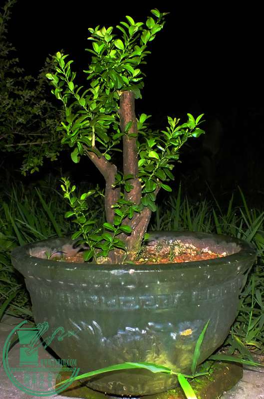 DSCF2948.JPG
