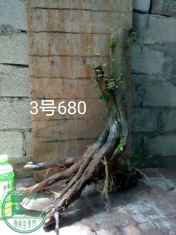 813900