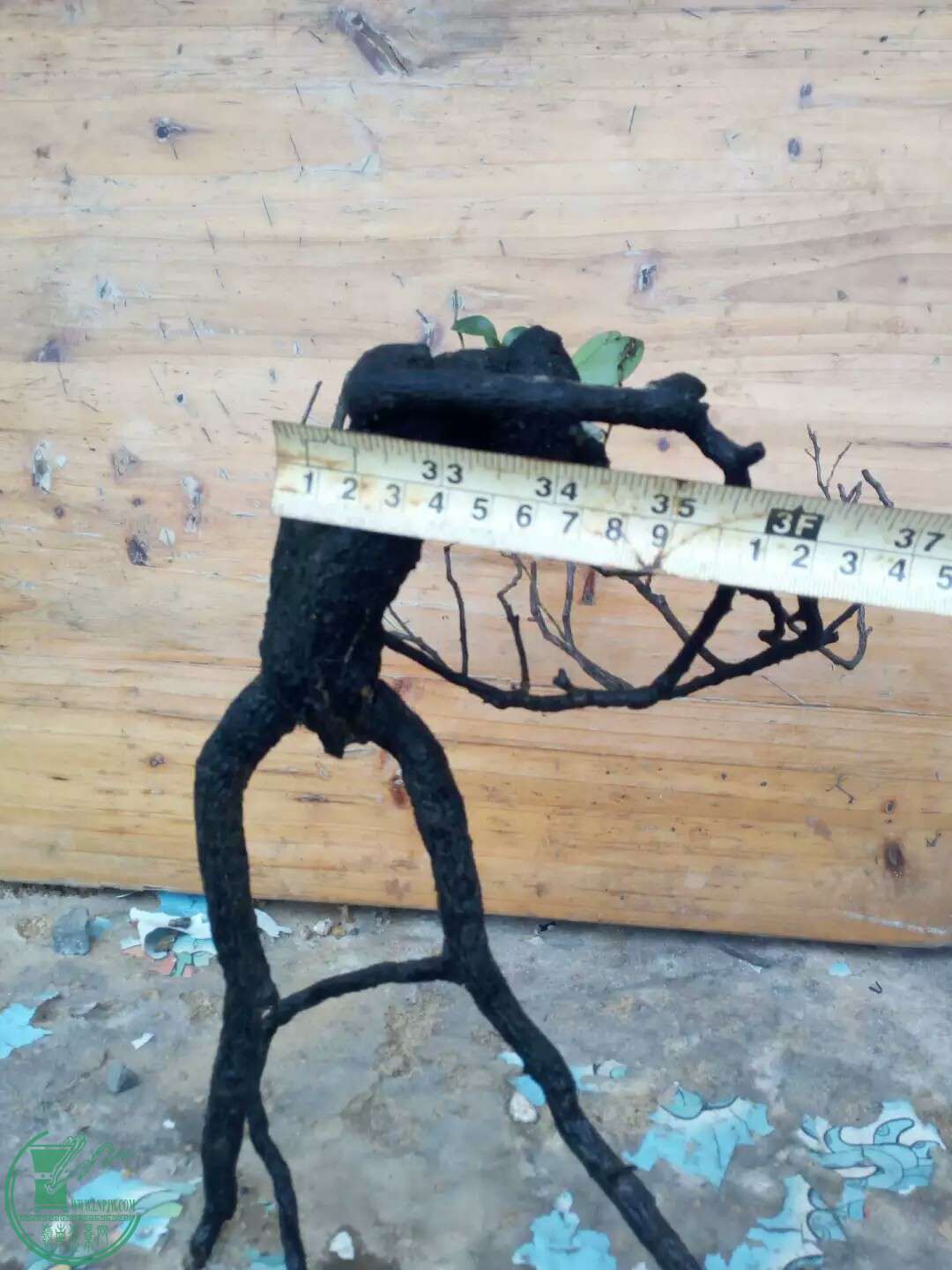 1470796057872.jpeg