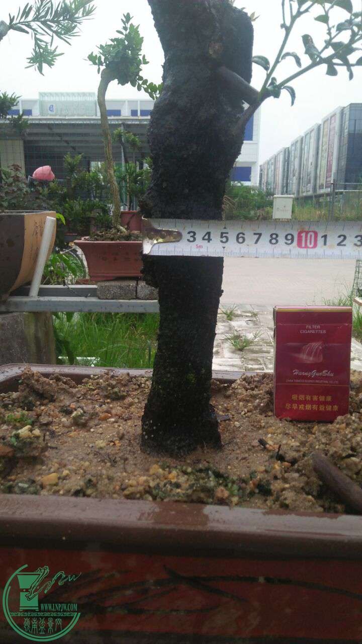 QQͼƬ20160810204240.jpg