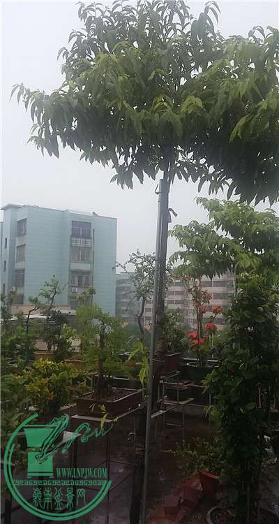 20160812_111723.jpg