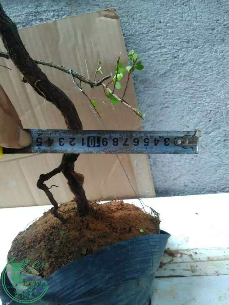 1.5.jpg