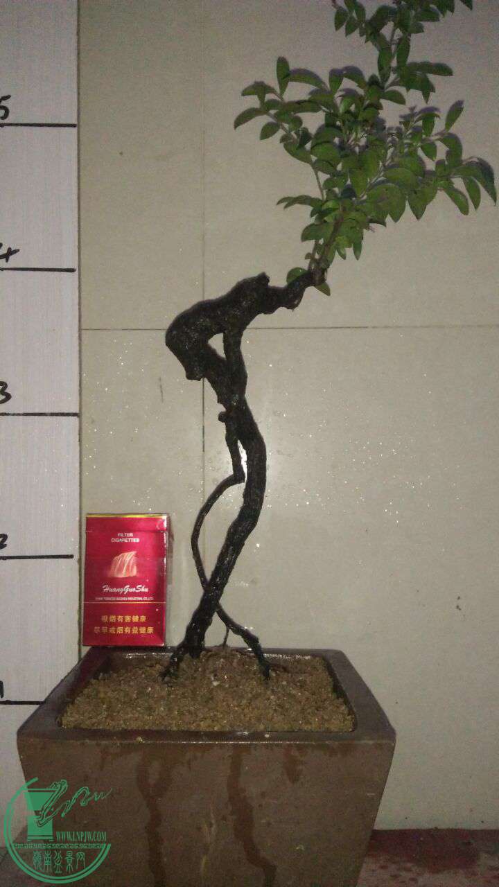 QQͼƬ20160815195422.jpg