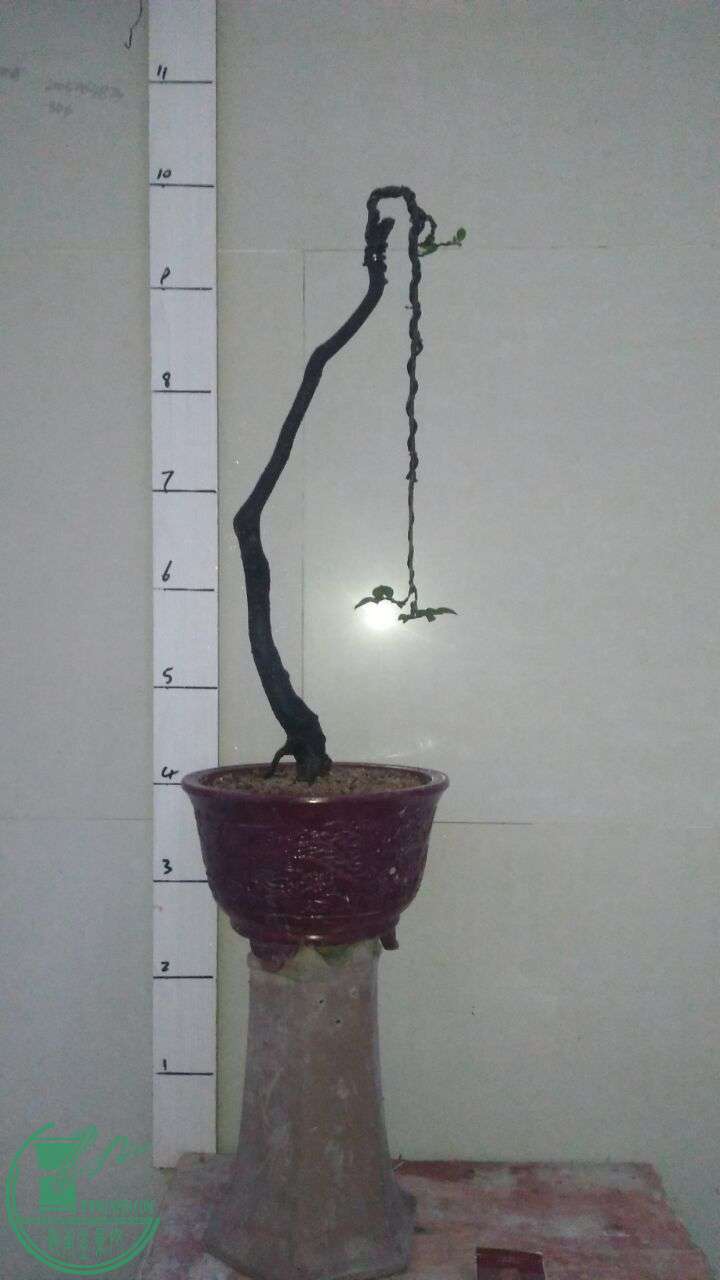 QQͼƬ20160815195445.jpg