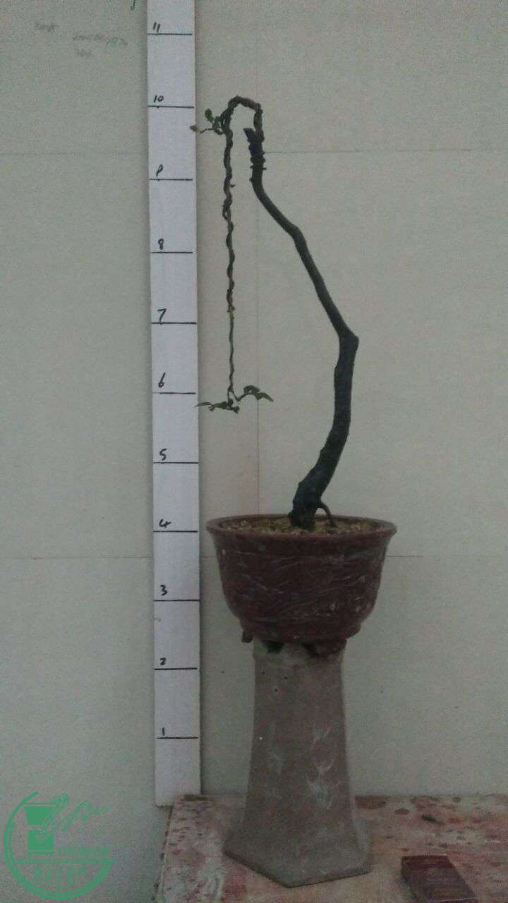 QQͼƬ20160815195436.jpg