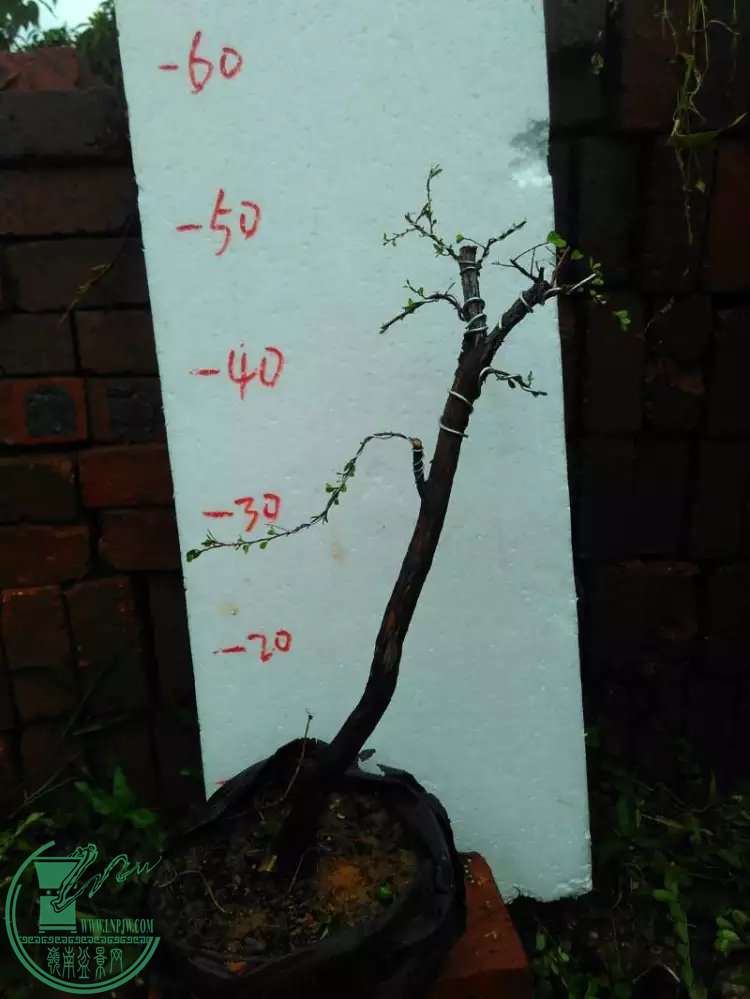 1150