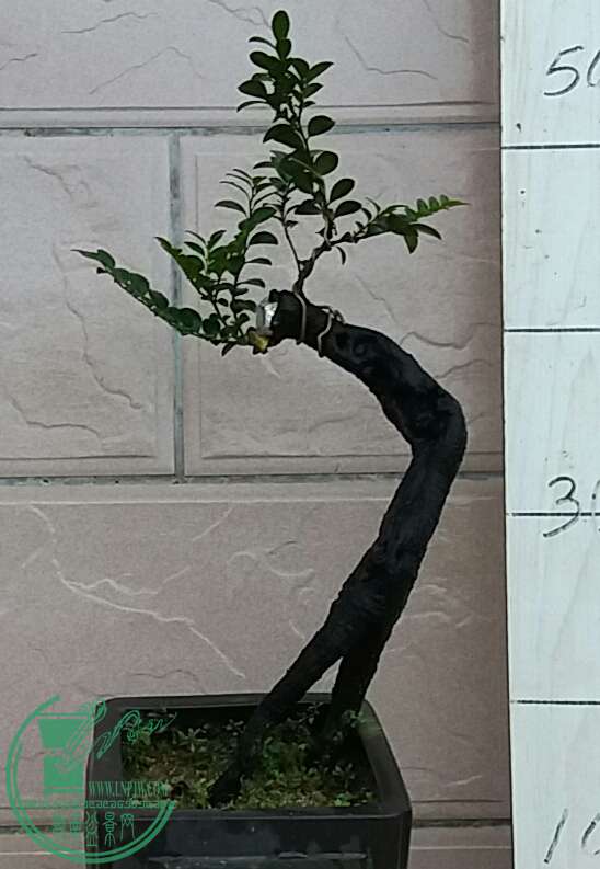 20160820_175601-1.jpg