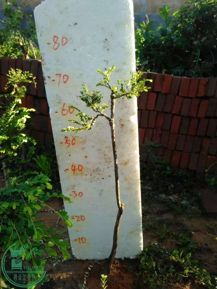 3130
