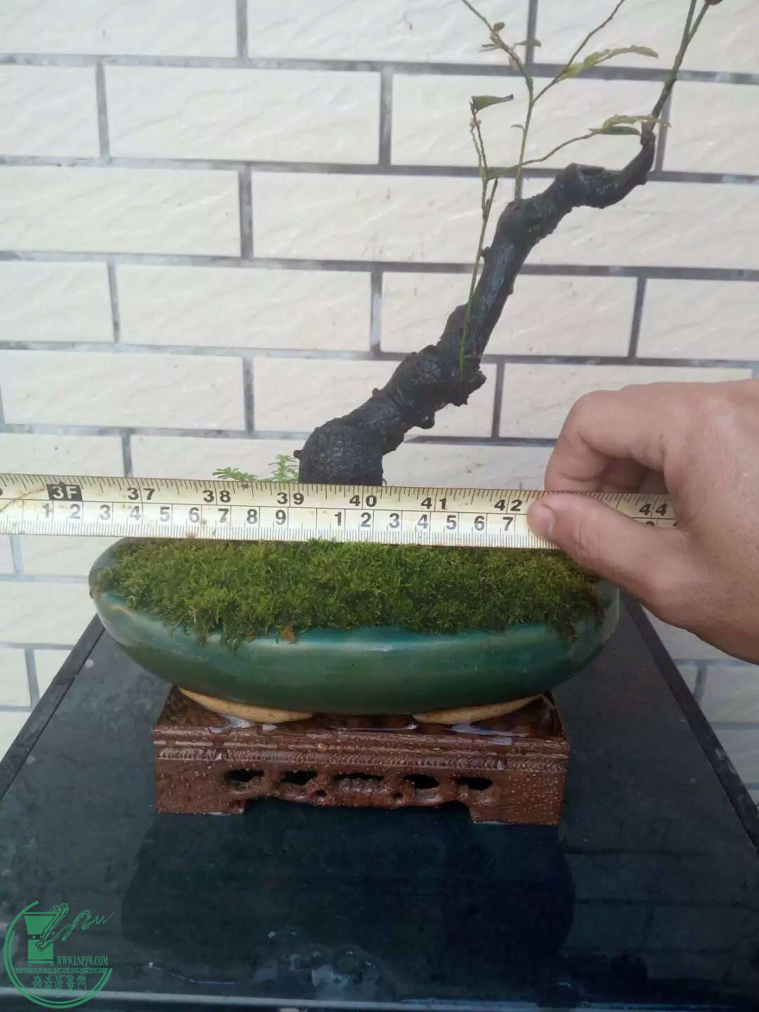 1471850276011.jpeg