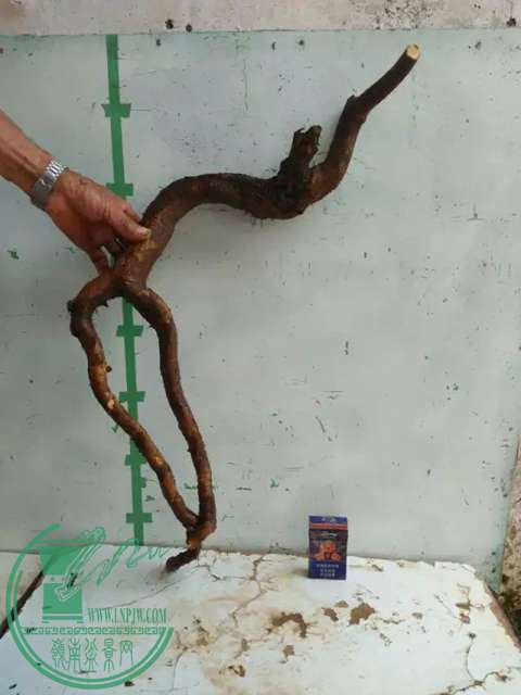 psb (9).jpg