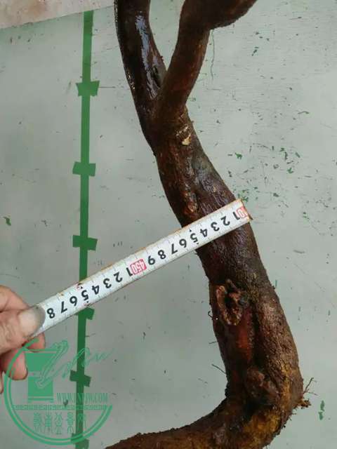 psb (20).jpg