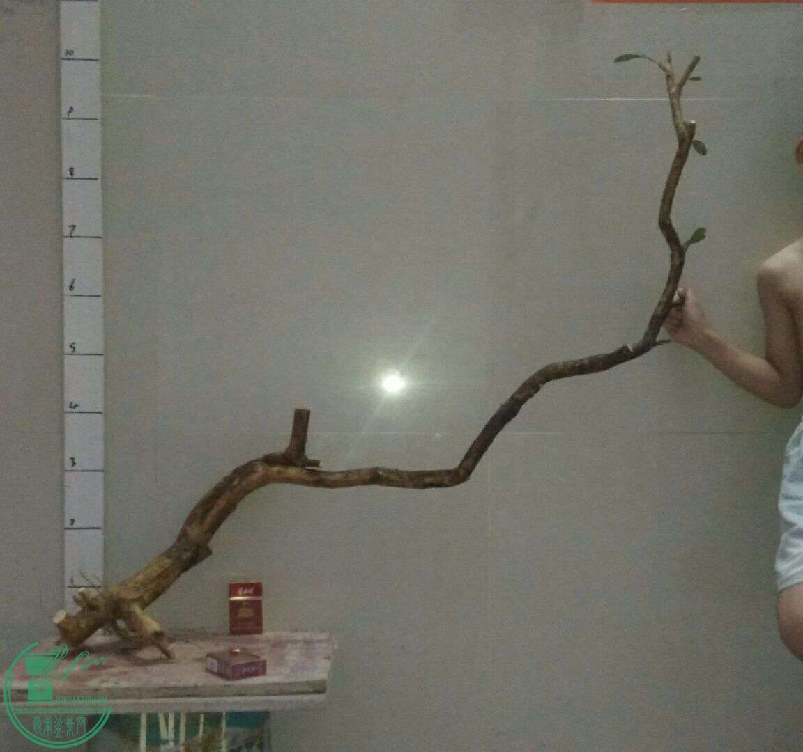 QQͼƬ20160824195024.jpg