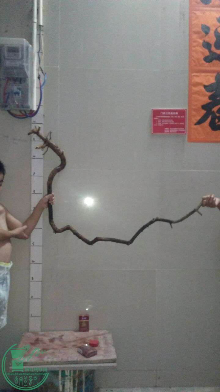QQͼƬ20160824195126.jpg