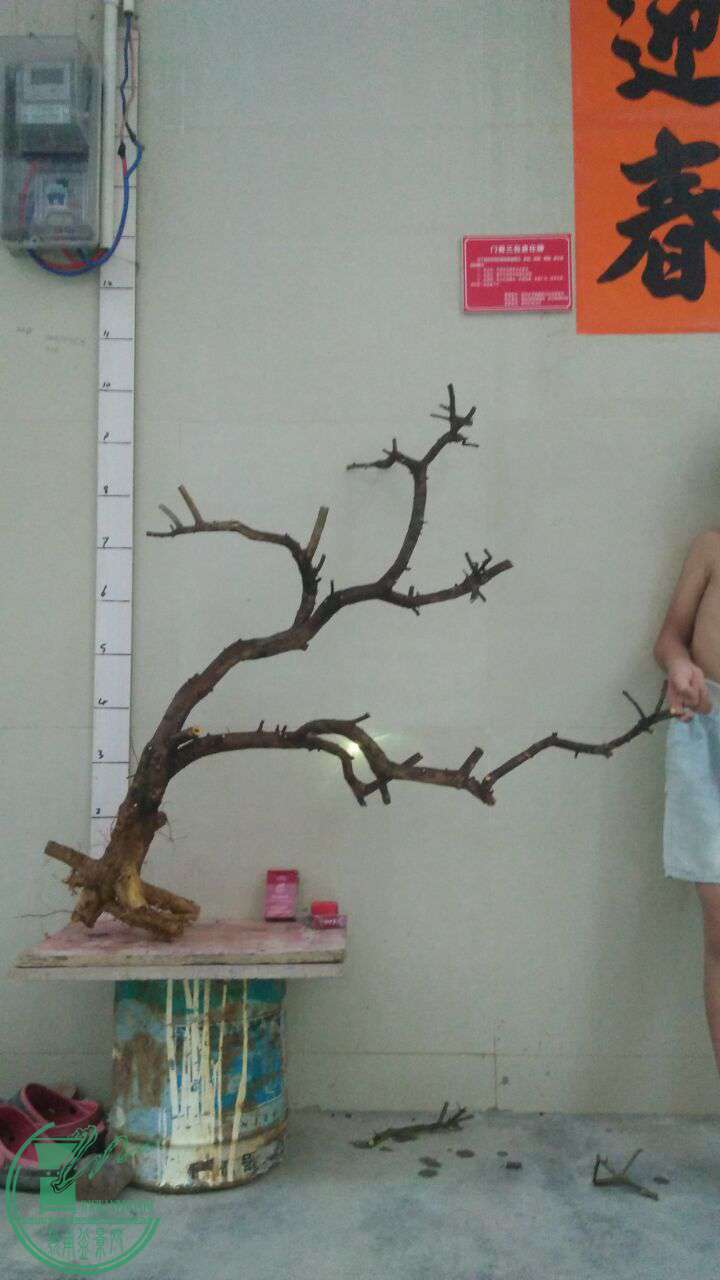 QQͼƬ20160825195527.jpg