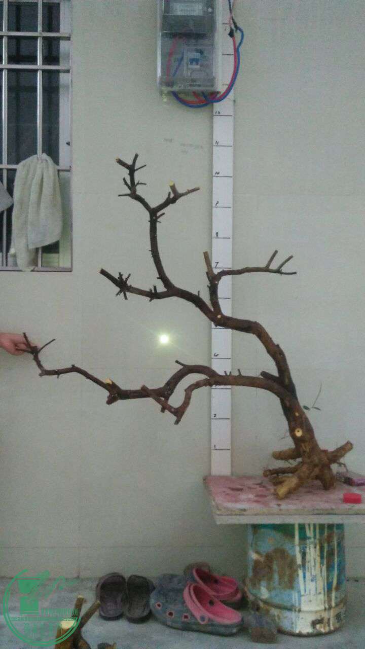 QQͼƬ20160825195503.jpg