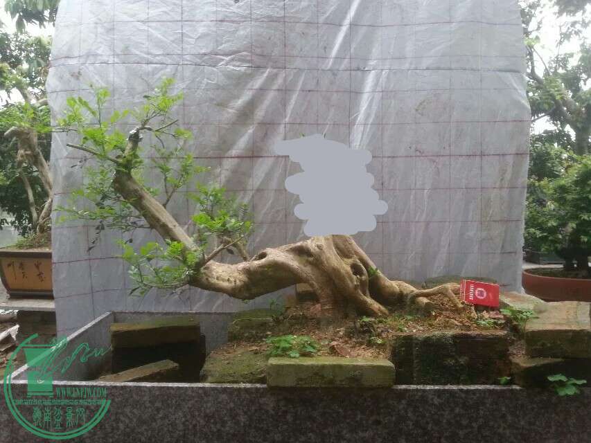 550Ԫ