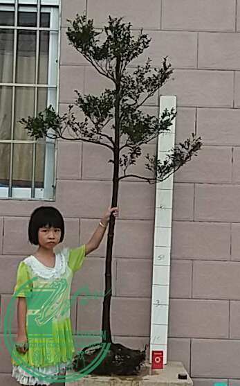 20160826_180118-1.jpg