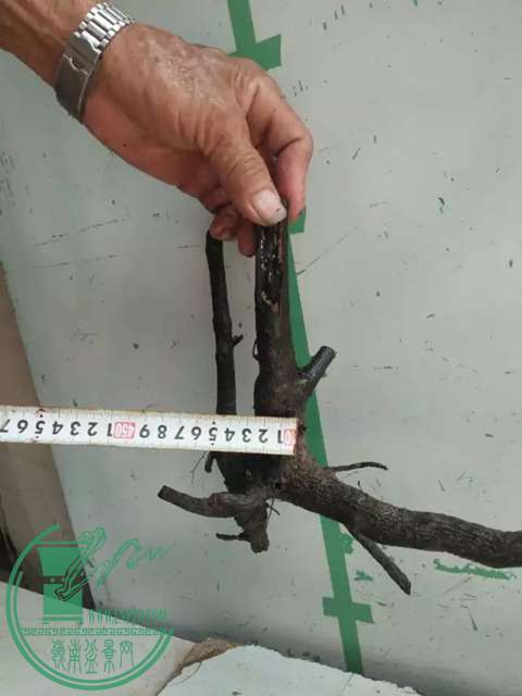 psb (4).jpg