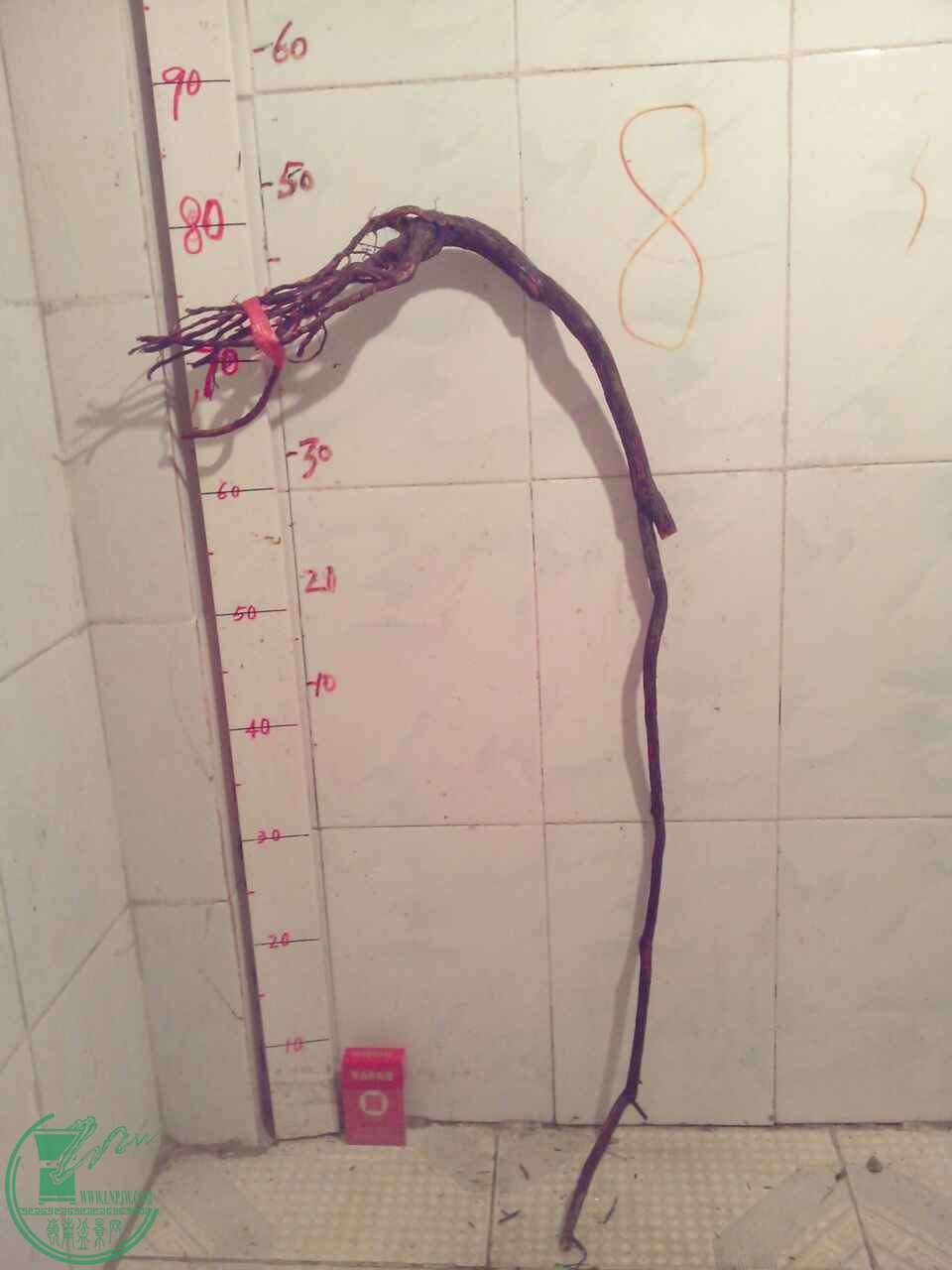 3CFA57F8-70AD-493E-8476-FD355F9ED67D.JPG