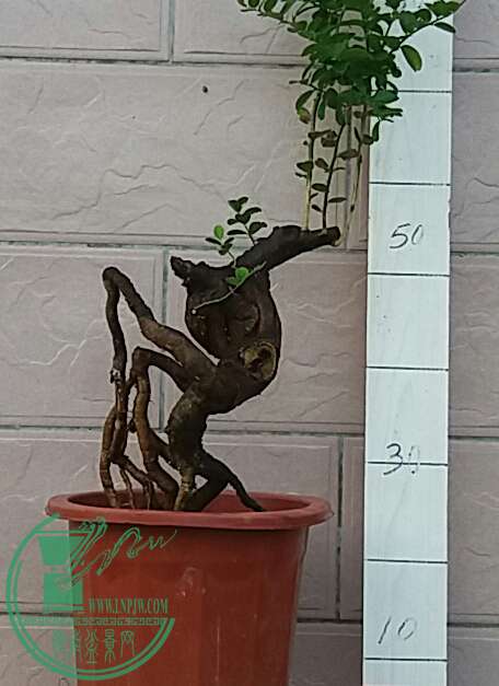 20160828_175026-1.jpg